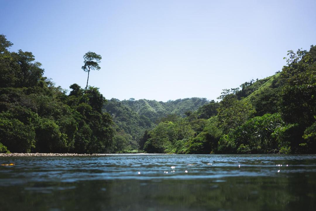Photo of Others in Buritaca