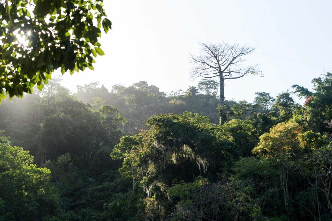 Photo of Others in Buritaca
