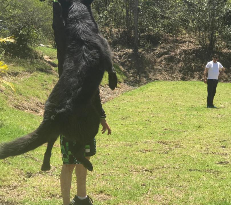 Photo of Others in Villa de Leyva
