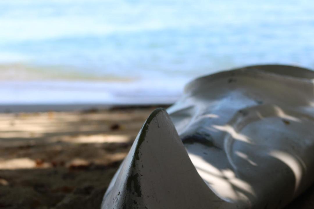 Photo of Others in Rosario Islands
