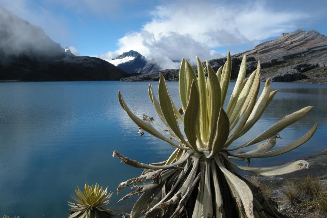 Photo of Others in El Cocuy