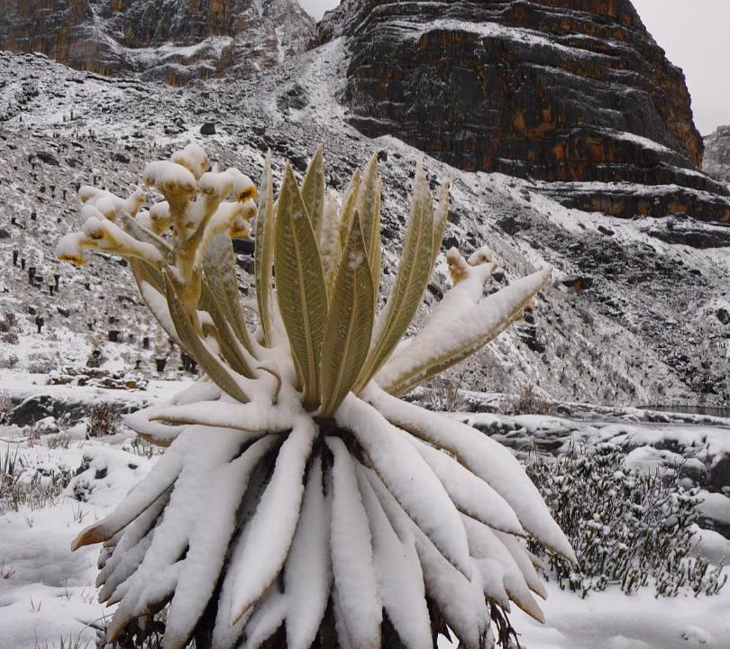 Photo of Others in El Cocuy