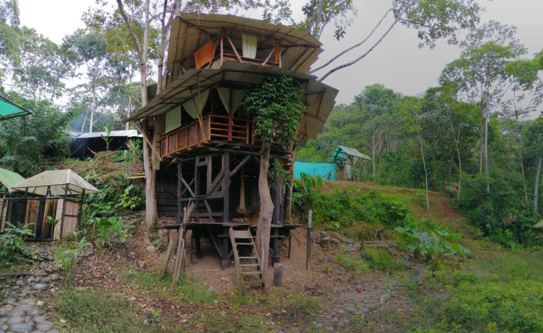 Photo of Others in Mocoa