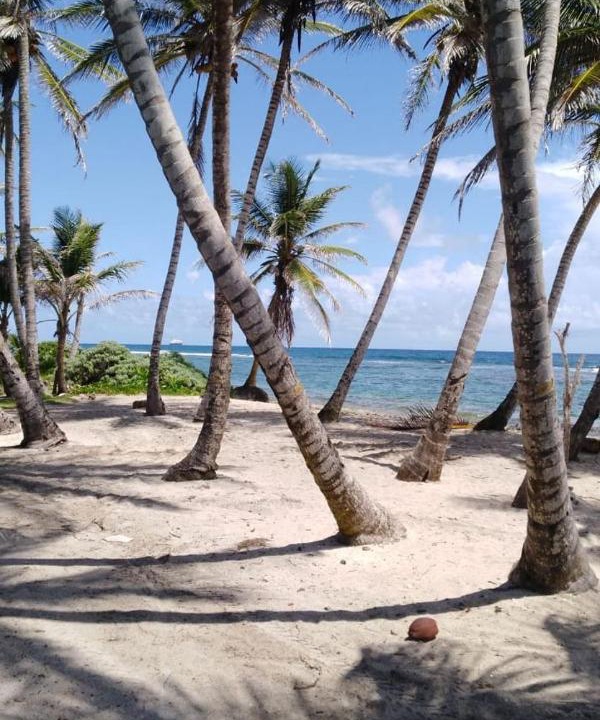 Photo of Others in San Andres