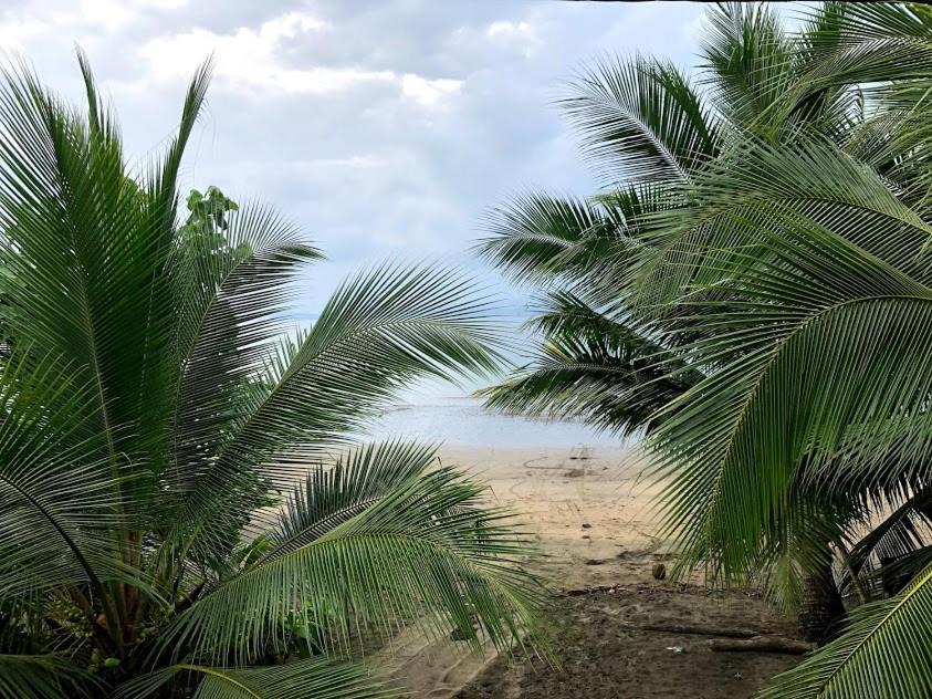 Photo of Others in Bahia Solano