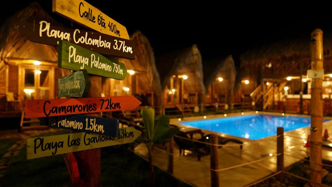 Photo of Others in Palomino