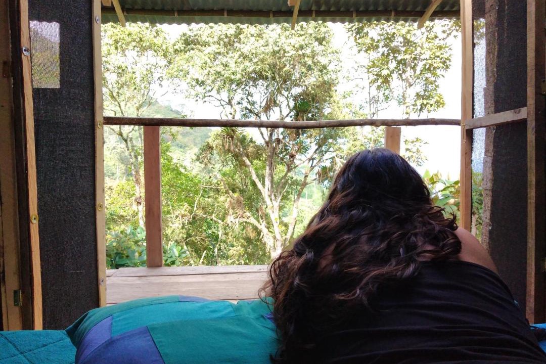 Photo of Others in Viota