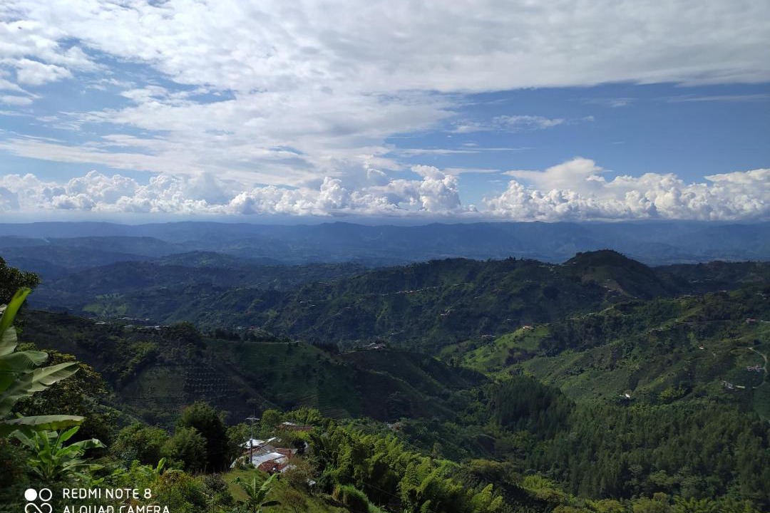 Photo of Others in Manizales