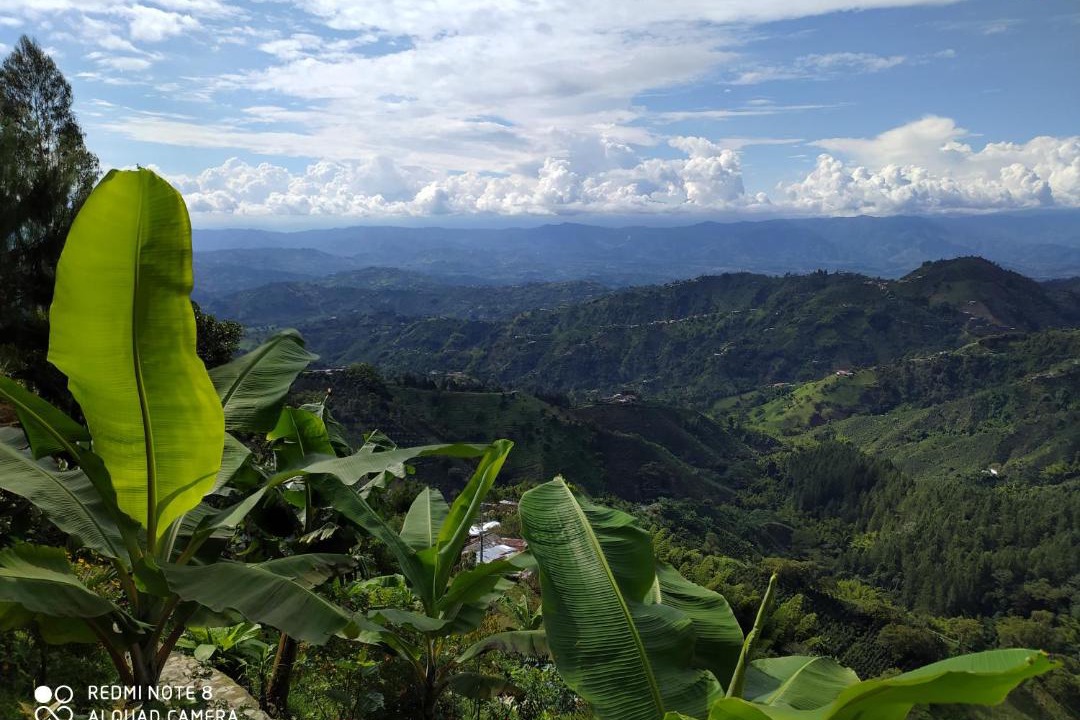 Photo of Others in Manizales