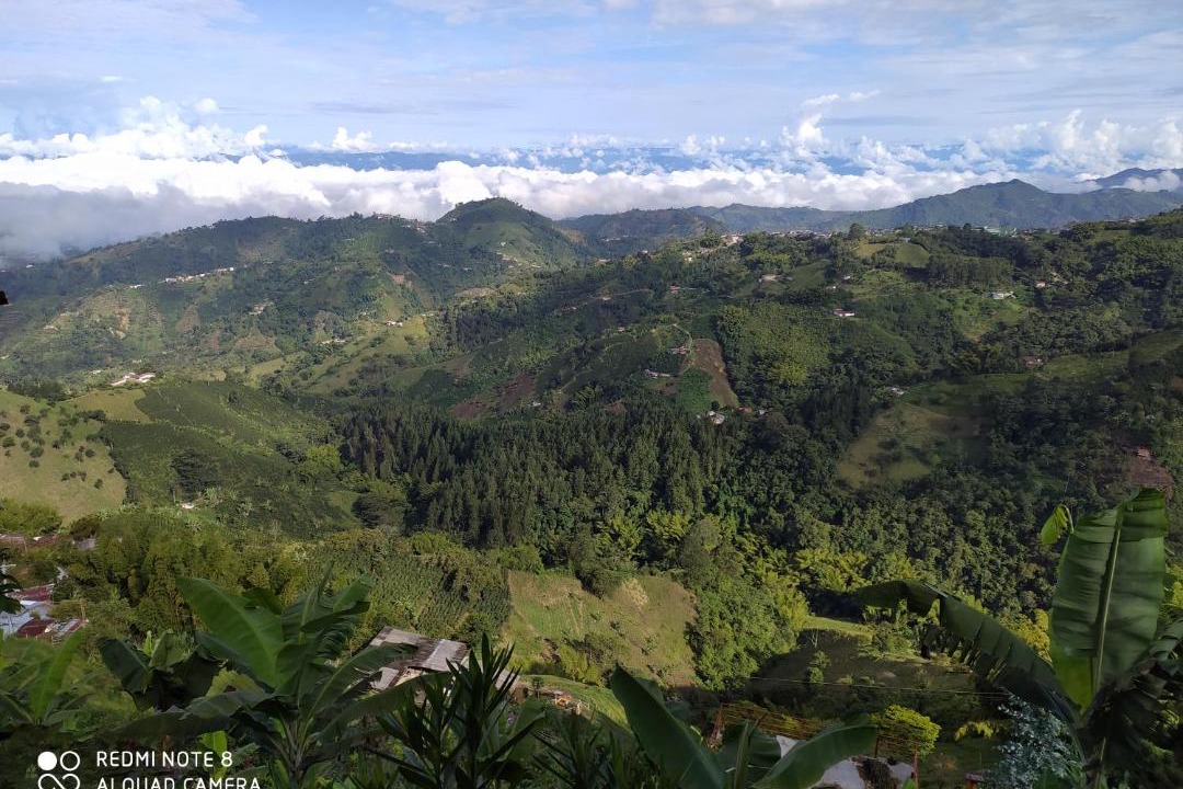 Photo of Others in Manizales