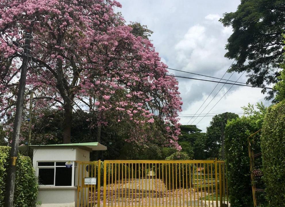 Photo of Others in Pereira