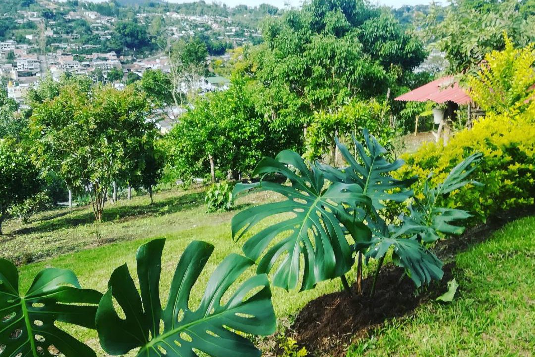 Photo of Others in San Agustin
