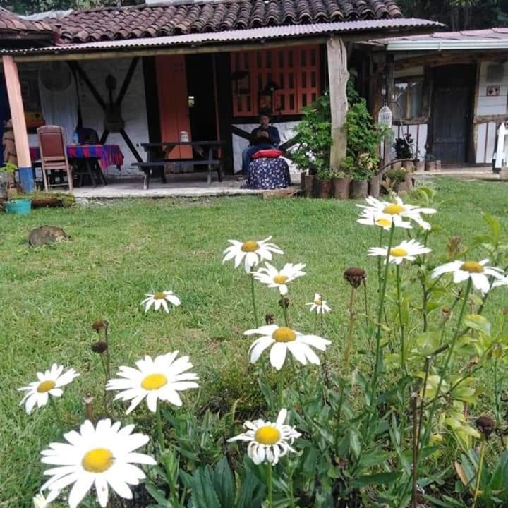 Photo of Others in Santa Rosa de Cabal
