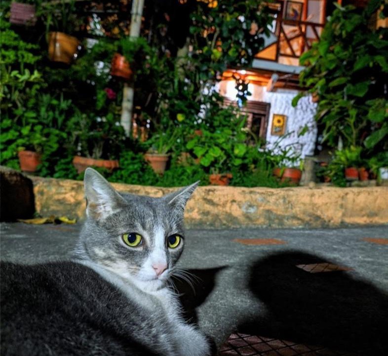 Photo of Others in San Agustin
