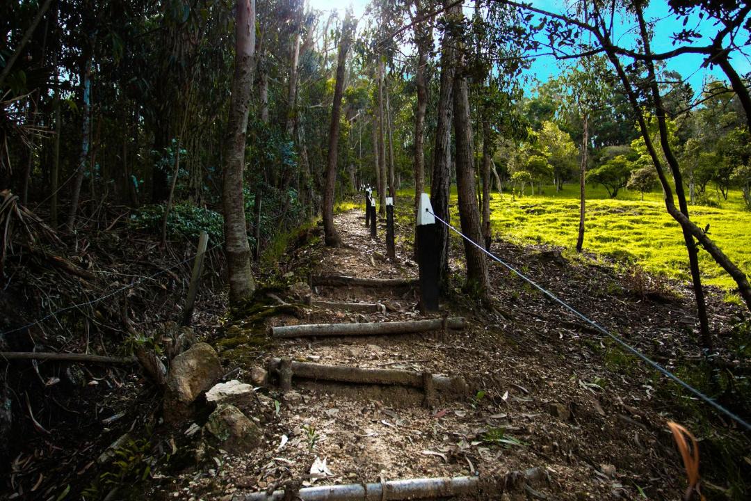 Photo of Others in El Rosal