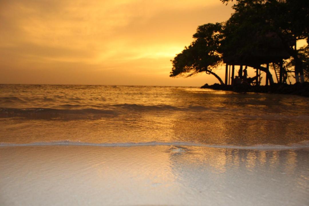 Photo of Others in Isla Tintipan