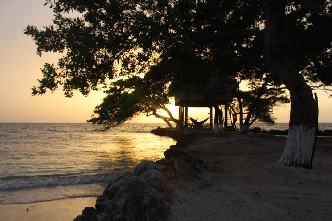 Photo of Others in Isla Tintipan