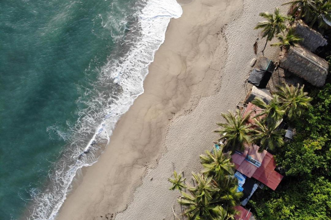 Photo of Others in Palomino