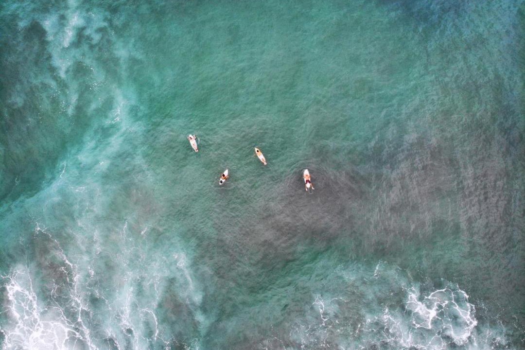 Photo of Others in Palomino