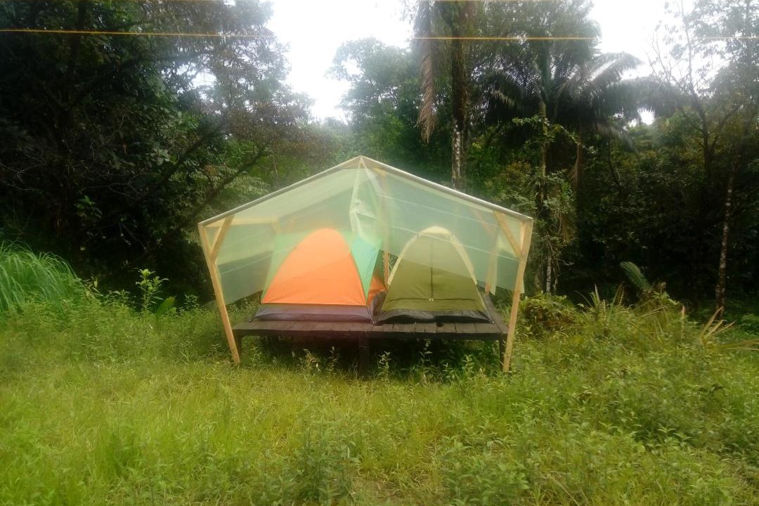 Photo of Others in Uramba National Park