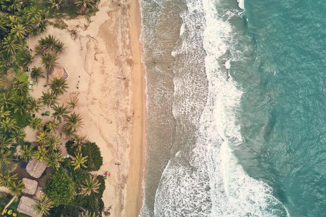 Photo of Others in Los Naranjos