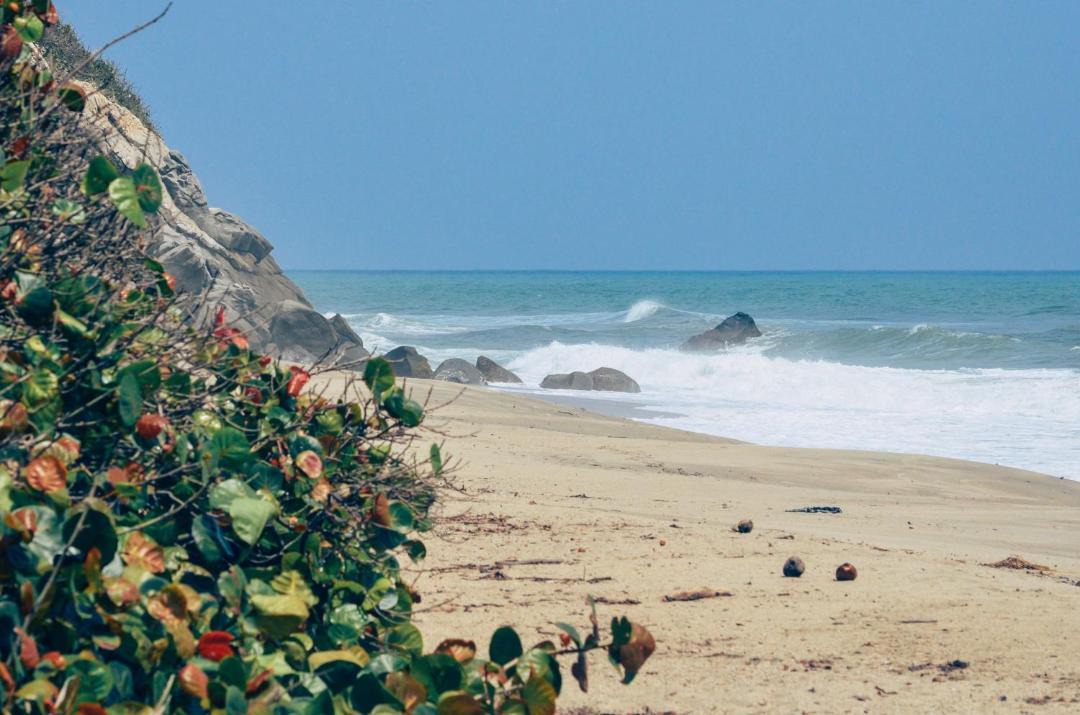 Photo of Others in Los Naranjos