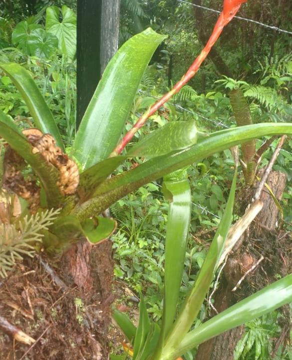 Photo of Others in Uramba National Park