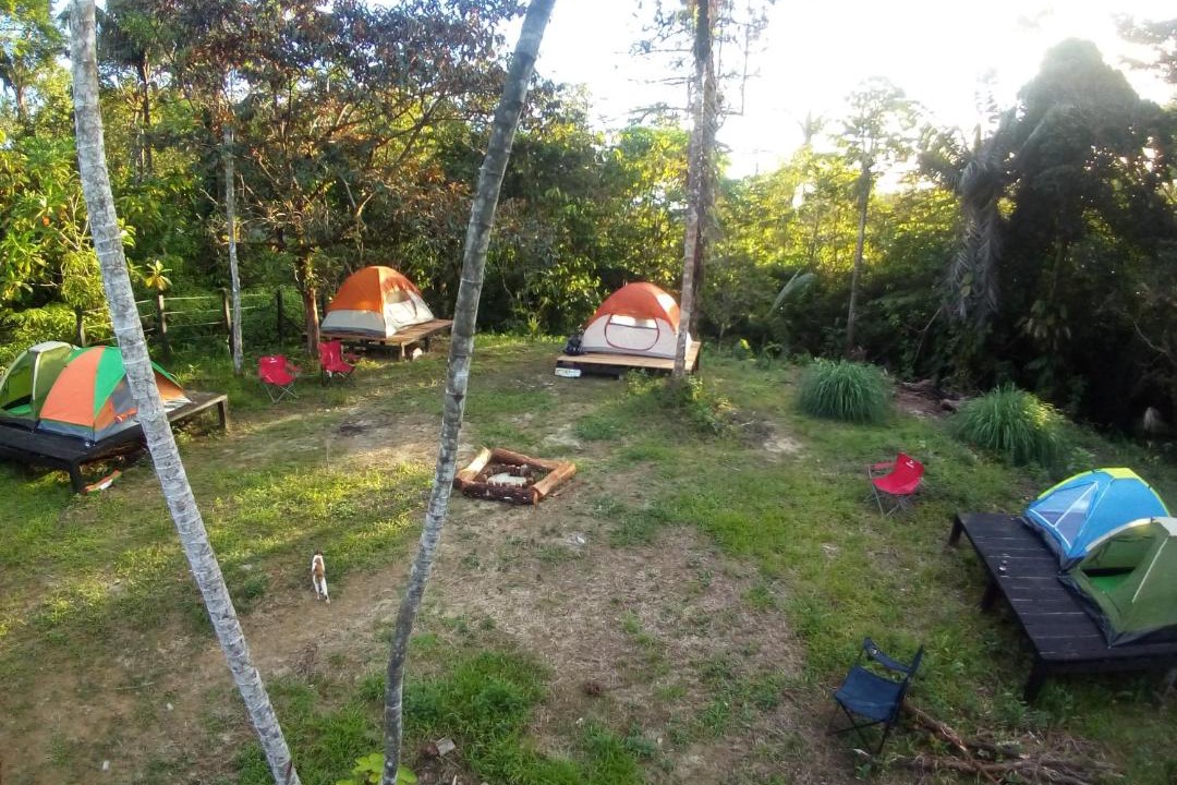 Photo of Others in Uramba National Park