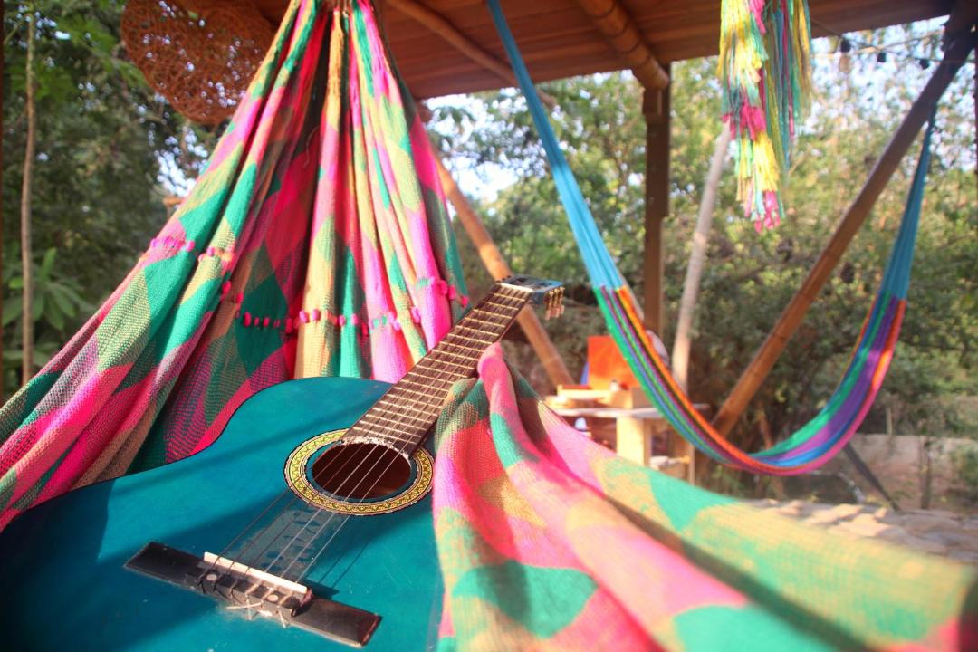 Photo of Others in Palomino
