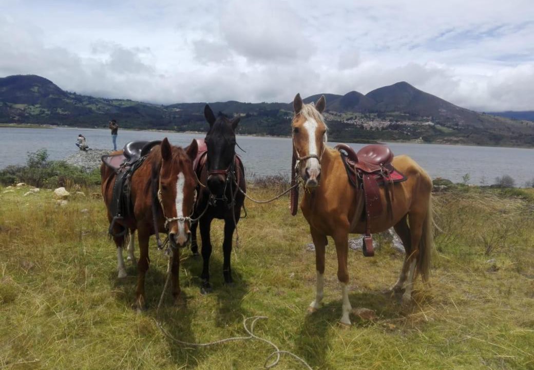 Photo of Others in Guatavita