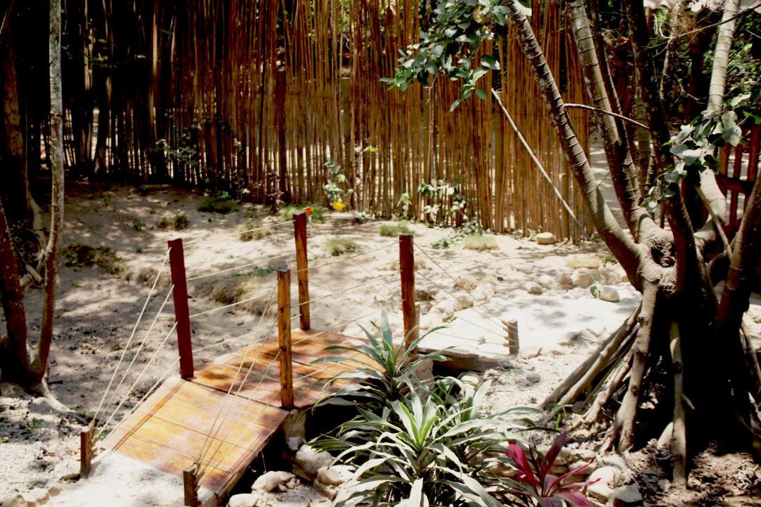 Photo of Others in Palomino