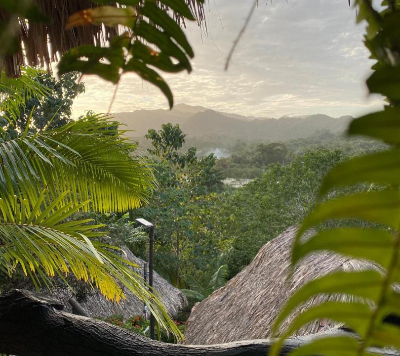 Photo of Others in Los Naranjos