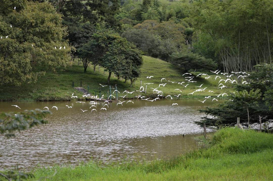 Photo of Others in Guaduas