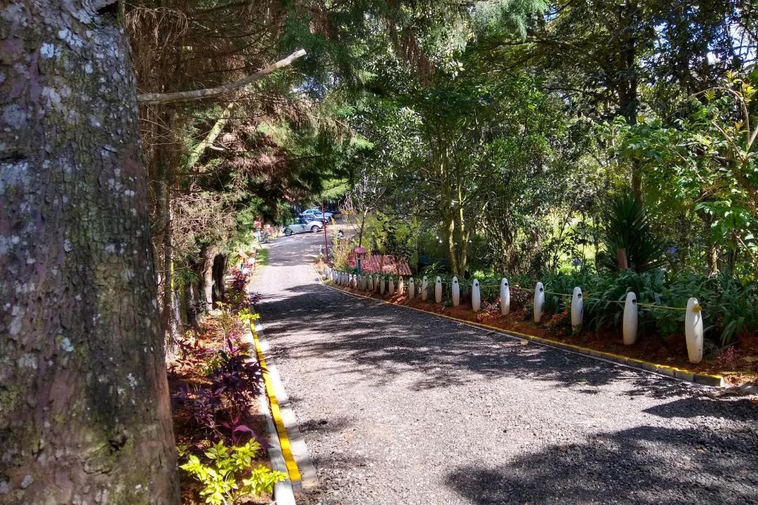 Photo of Others in Medellin