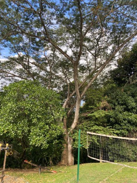 Photo of Others in San Jeronimo