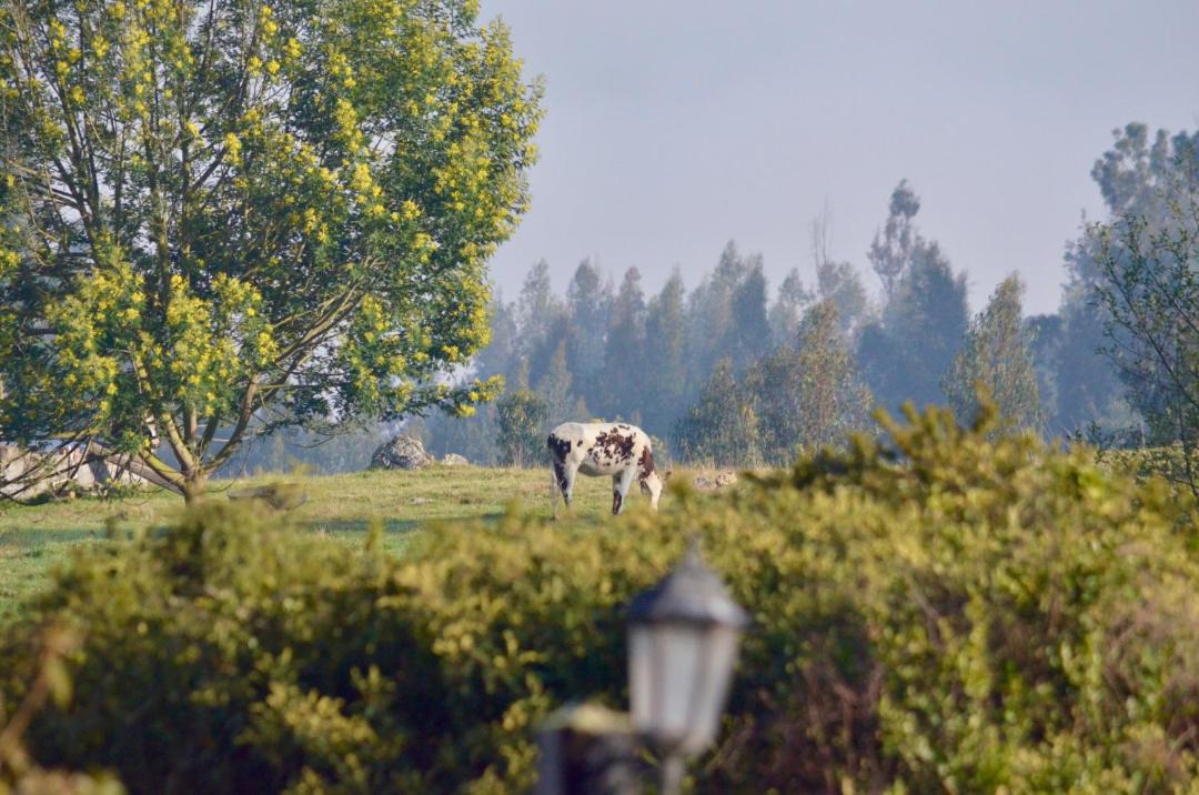 Photo of Others in Cundinamarca