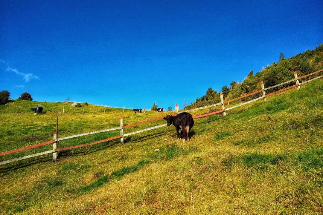 Photo of Others in Cundinamarca