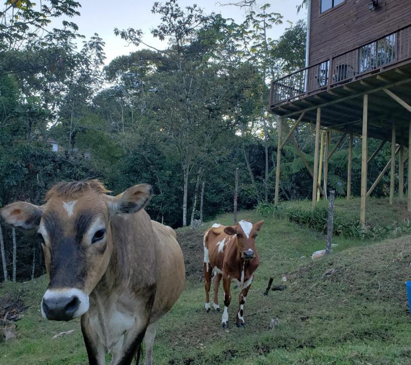 Photo of Others in Rionegro