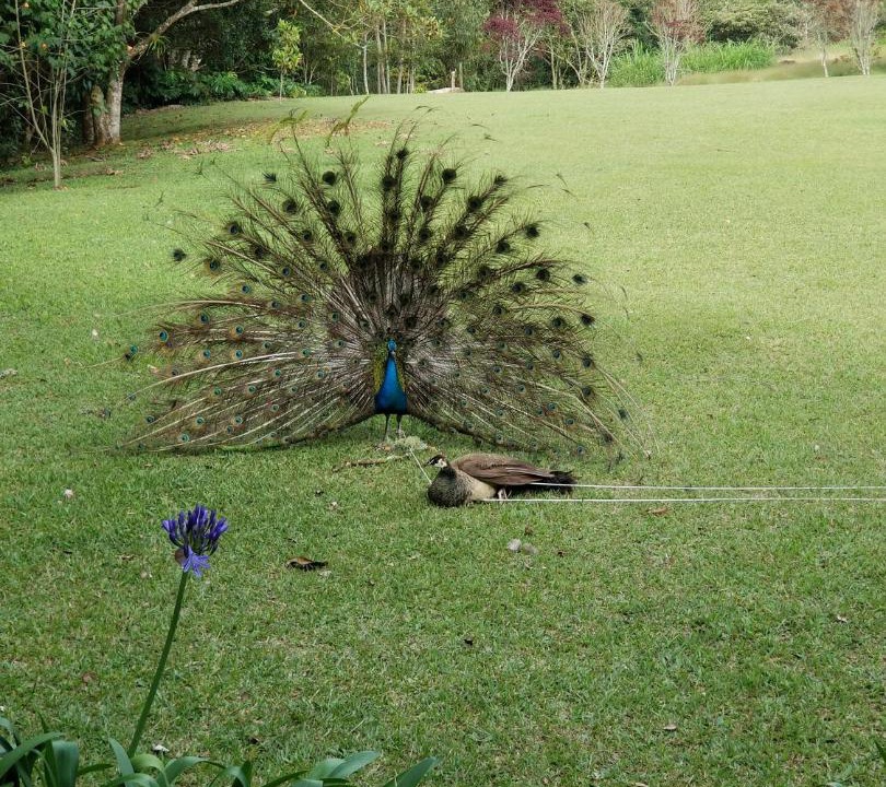 Photo of Others in Rionegro