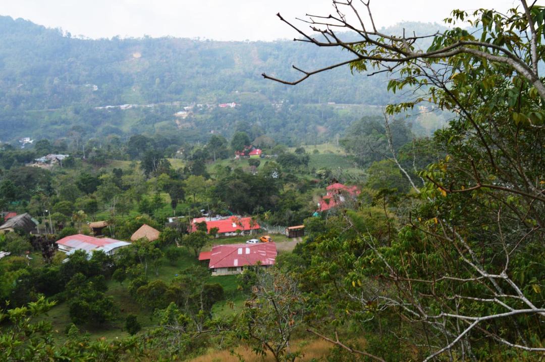 Photo of Others in Quebradanegra