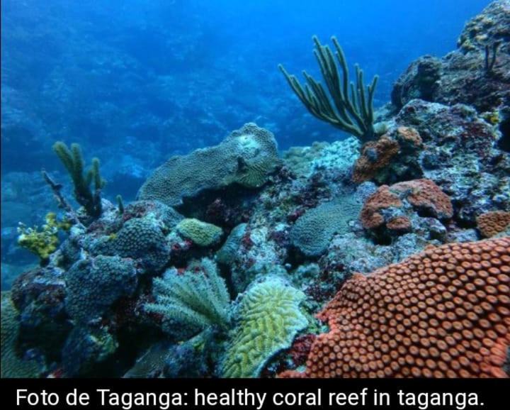 Photo of Others in Taganga