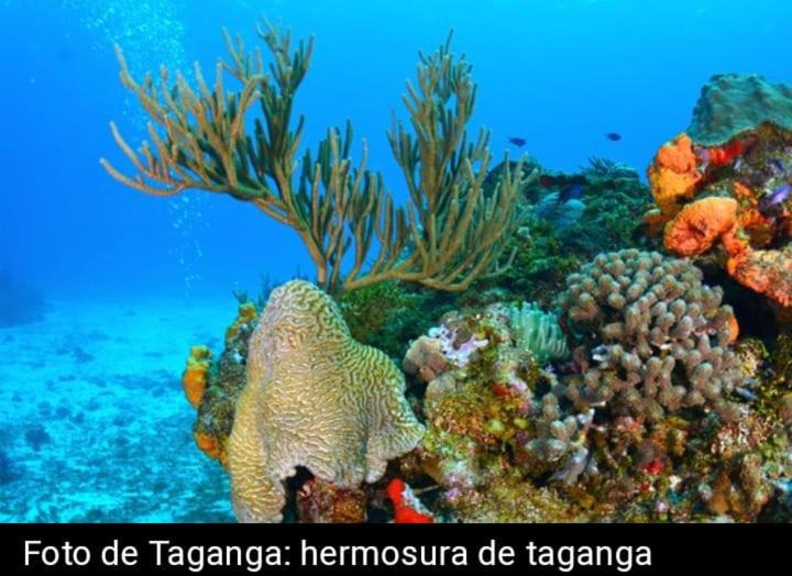 Photo of Others in Taganga