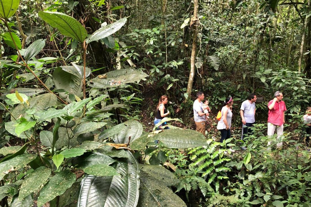 Photo of Others in Vergara