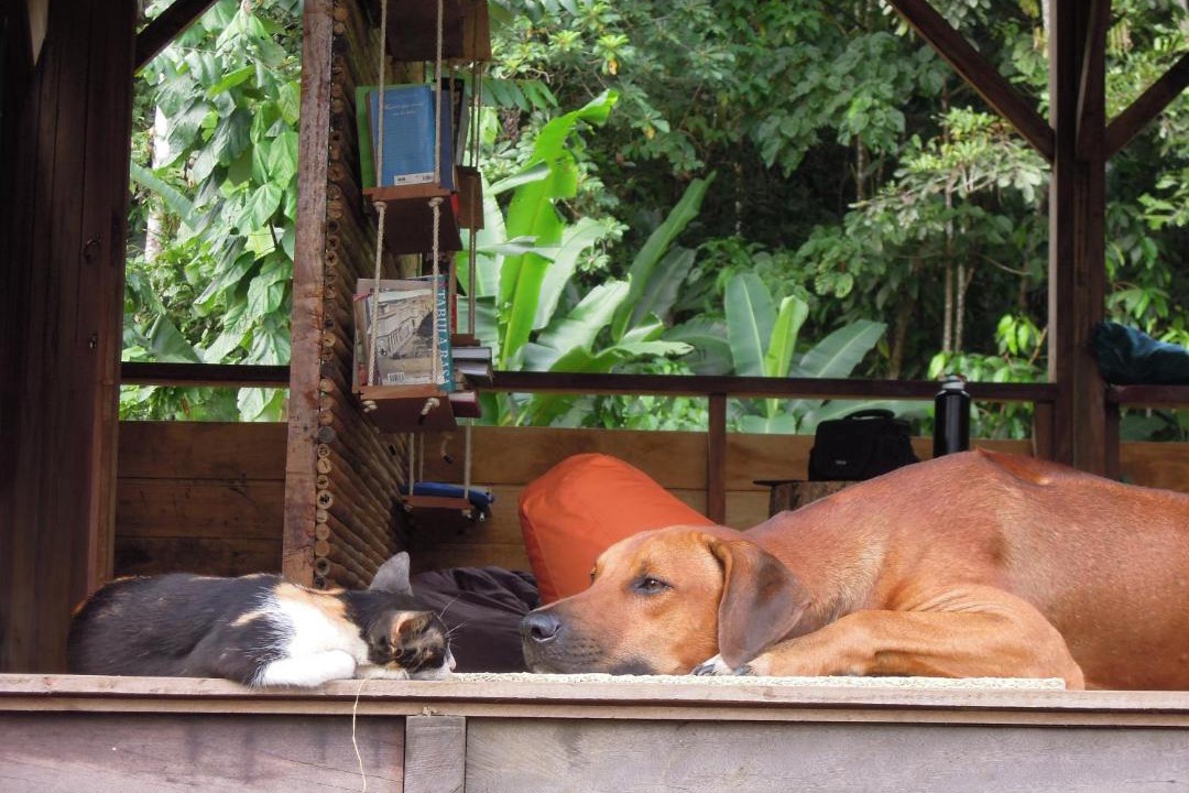 Photo of Others in El Valle