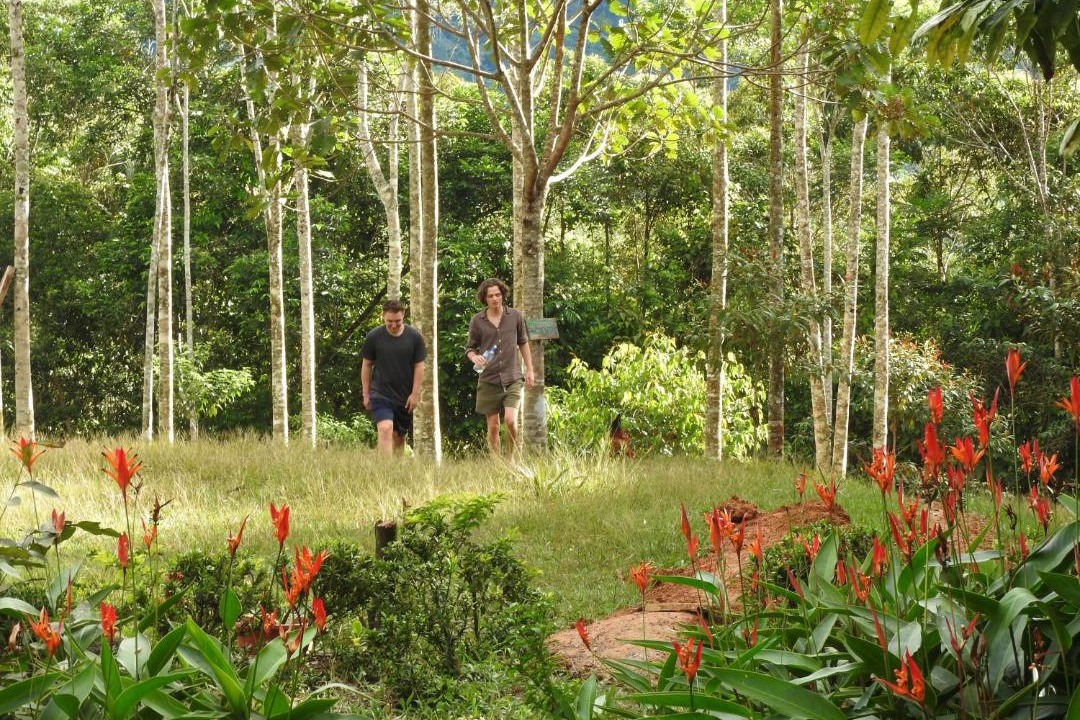 Photo of Others in Mocoa