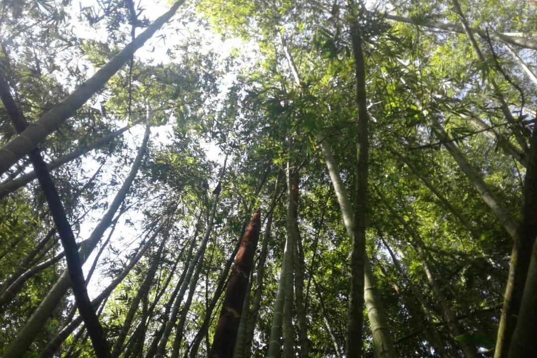 Photo of Outdoor in Andes