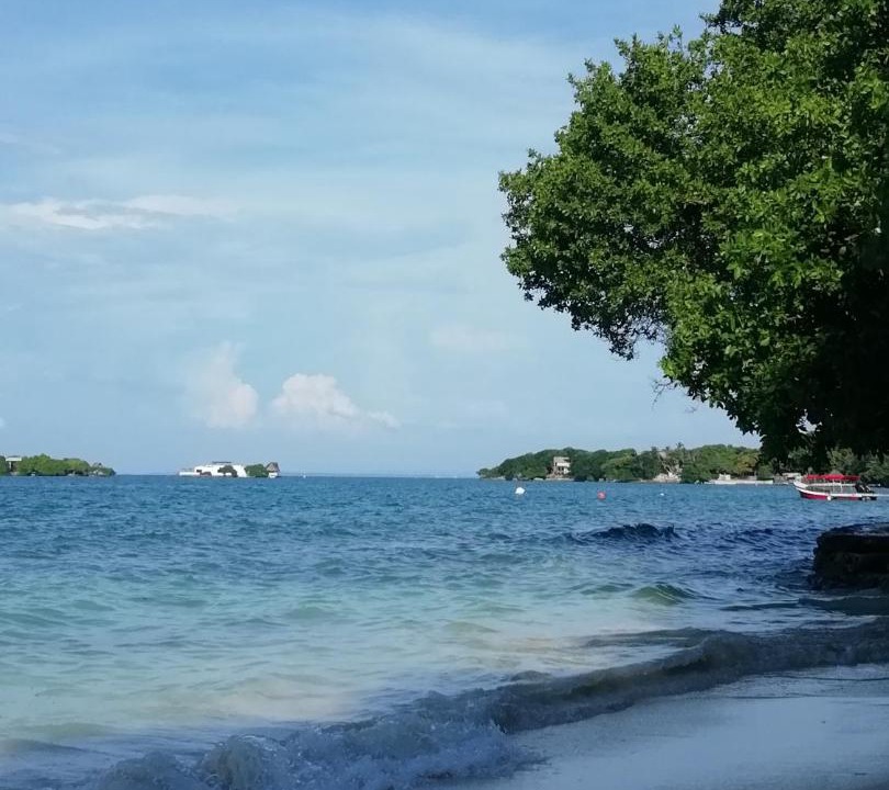 Photo of Others in Rosario Islands