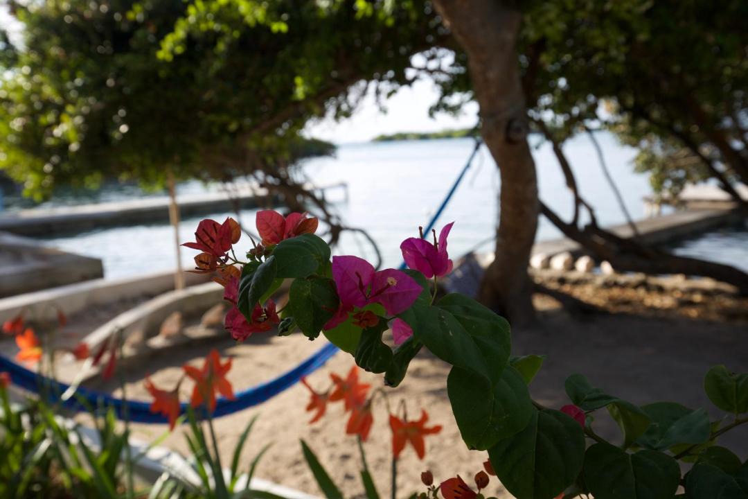 Photo of Others in Rosario Islands