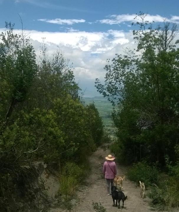 Photo of Others in Simijaca
