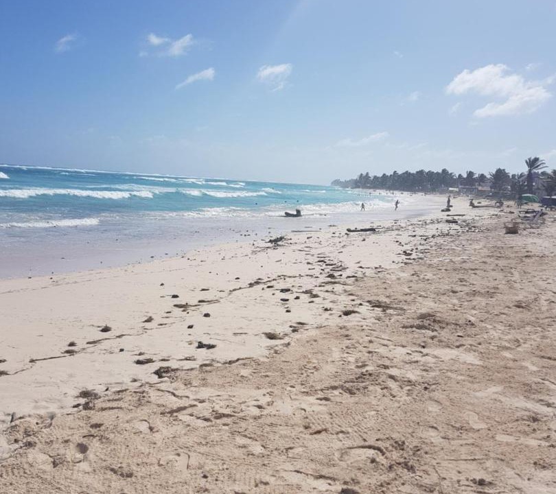 Photo of Others in Punta Sur